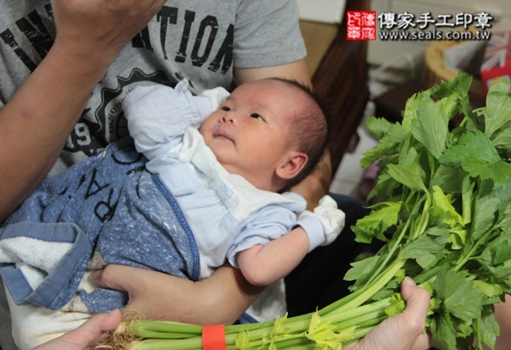 李寶寶(台北文山區到府嬰兒寶寶滿月剃頭理髮、免費到府嬰兒剃胎毛儀式吉祥話)。到府剃頭剃胎毛主持、專業拍照、DVD光碟、證書。★購買「臍帶章、肚臍章、胎毛筆刷印章」贈送：剃頭、收涎、抓周，三選一。2015.10.24 照片14